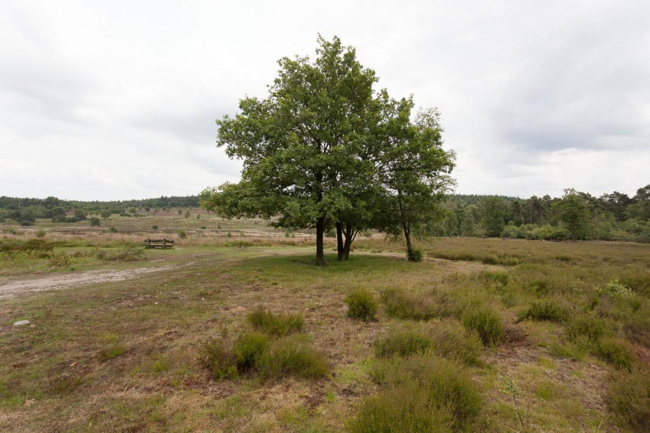 Chalet Hoenderloo Beuk Zewnętrze zdjęcie